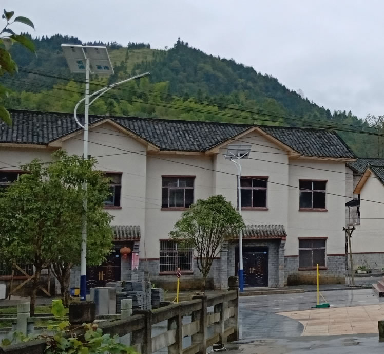 秀山鐘靈鎮(zhèn)路燈亮化工程